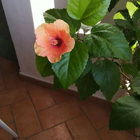 Luminoso Fronte Mare Apartamento Lido di Fermo